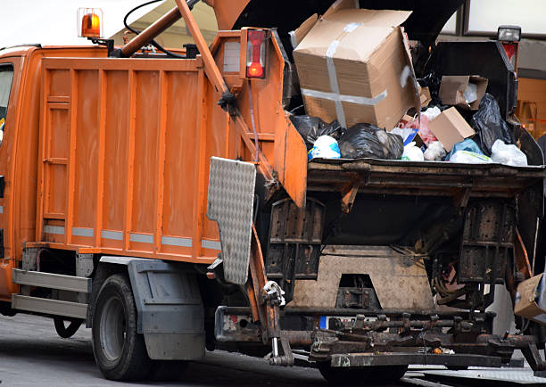 Best Carpet Removal and Disposal  in Ben Bolt, TX